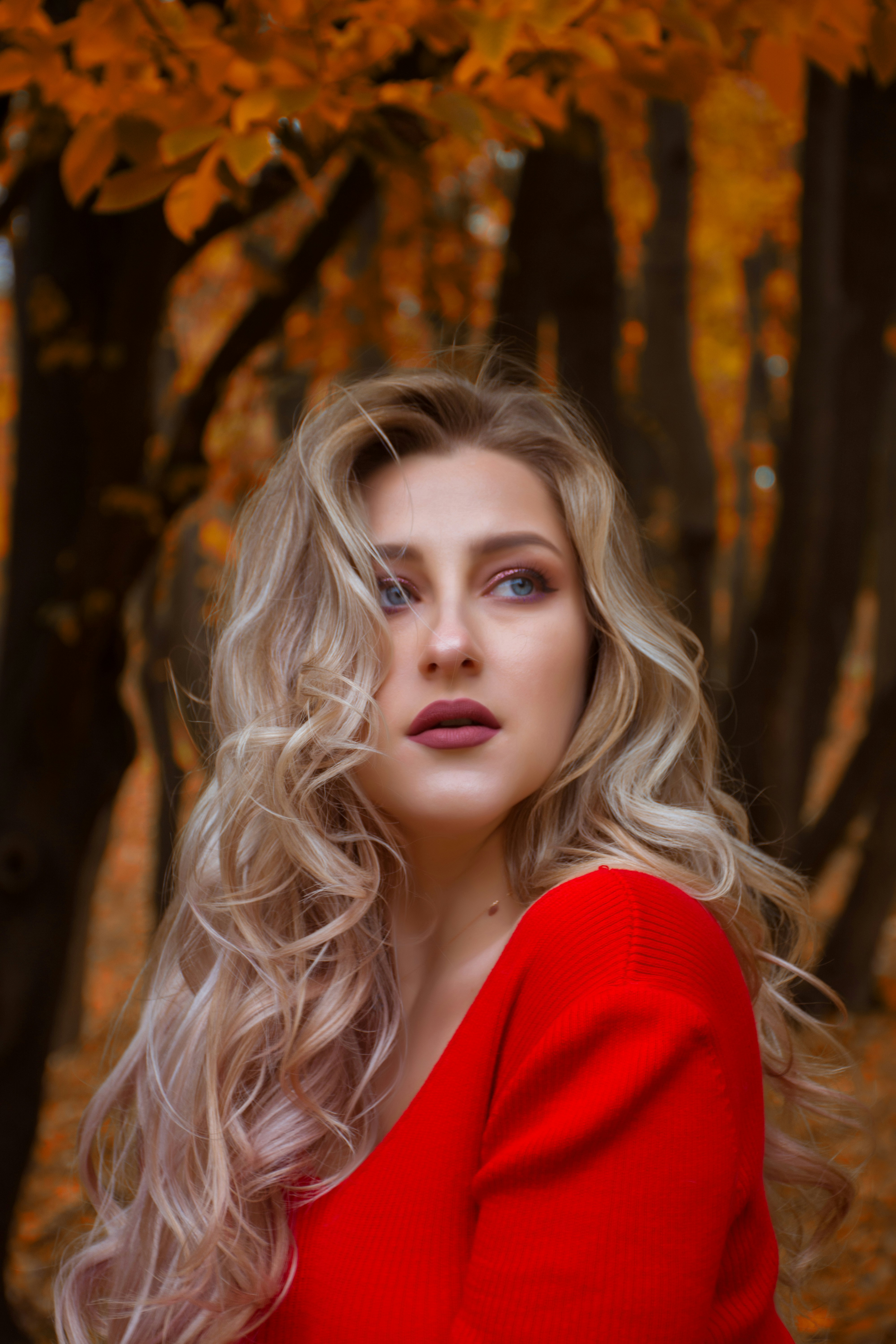 高分榜单：中英双语字幕适合学习